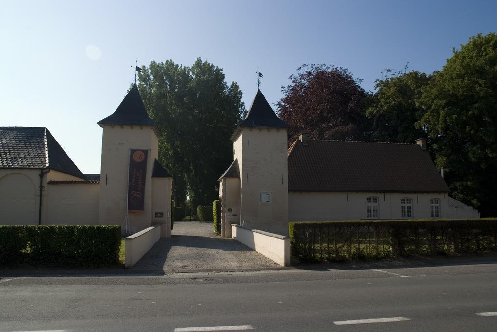 B&B Chateau Bagatelle Frasnes-lez-Anvaing Buitenkant foto