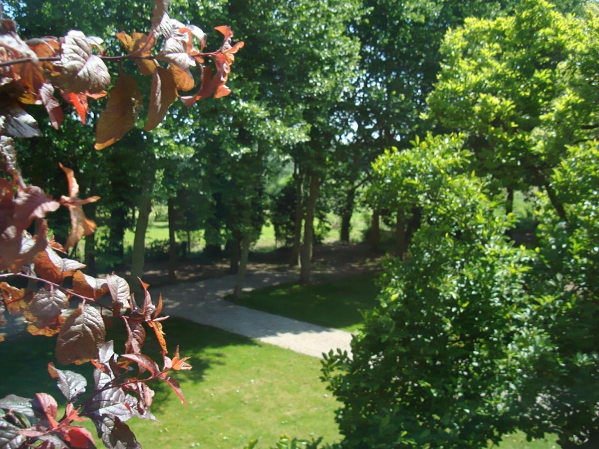 B&B Chateau Bagatelle Frasnes-lez-Anvaing Buitenkant foto